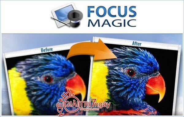 Focus magic software review